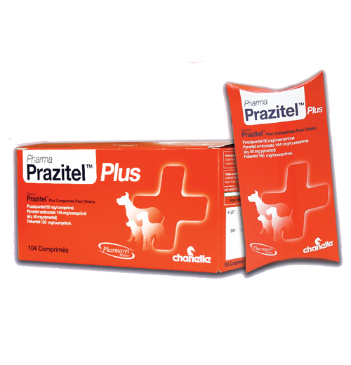 Pharma Prazitel plus